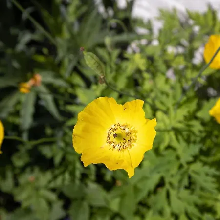 Beautiful In With Garden Hébergement de vacances Sivry-Rance