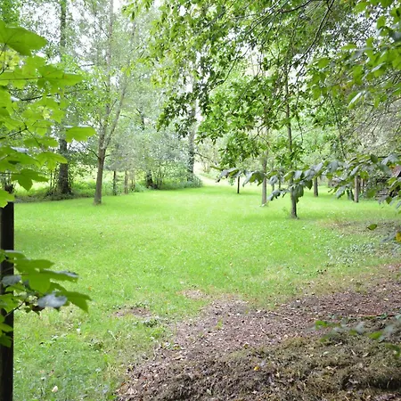 Beautiful In With Garden