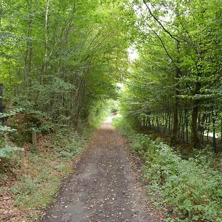 Beautiful Farmhouse In Sivry-Rance With Garden Sivry-Rance
